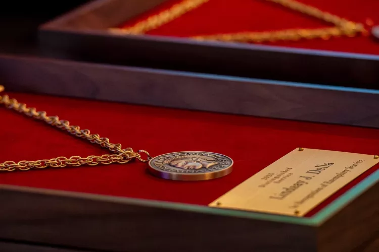 Award medal in frame