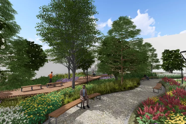 Illustration showing plants and walkways in a city park