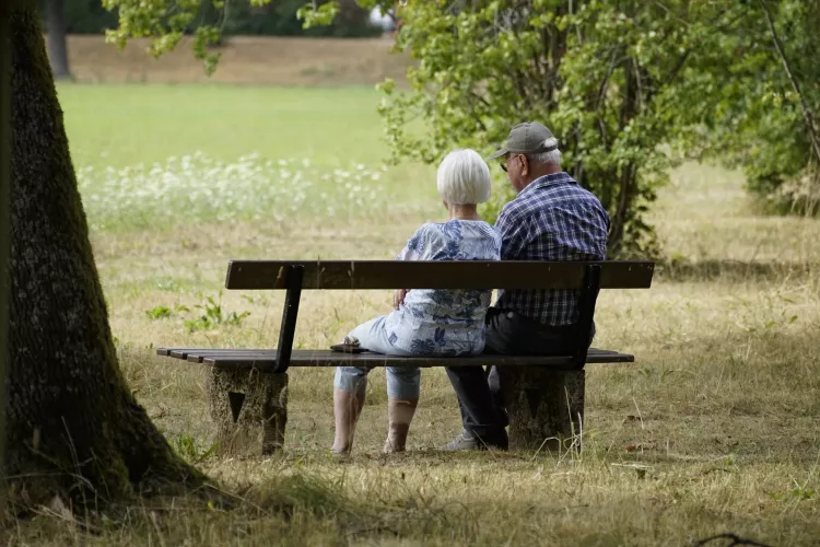 Two older adults sitting on a park bench amid trees and grass