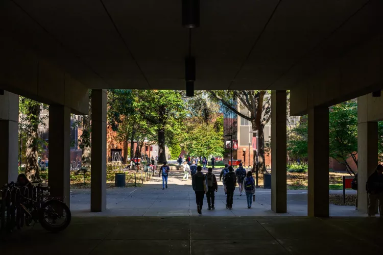 Students walking through campus