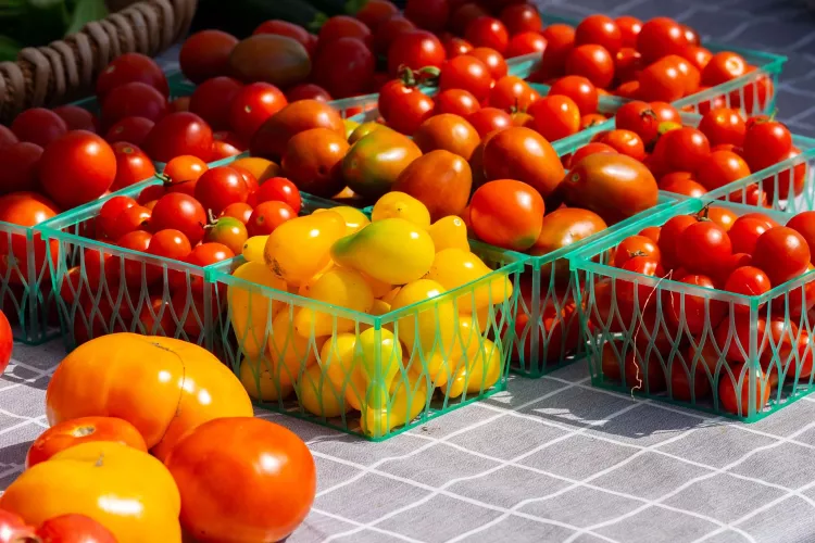 Cartons of tomatoes on a table