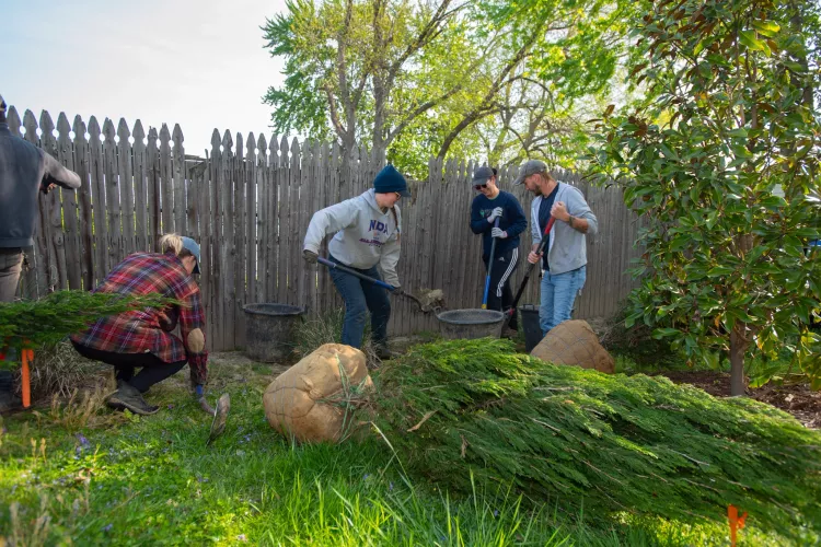 Envirome Green Heart Project, tree & shrub landscaping at neighborhood houses