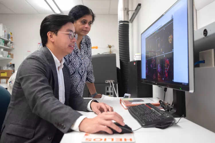 Man and woman at computer workstation