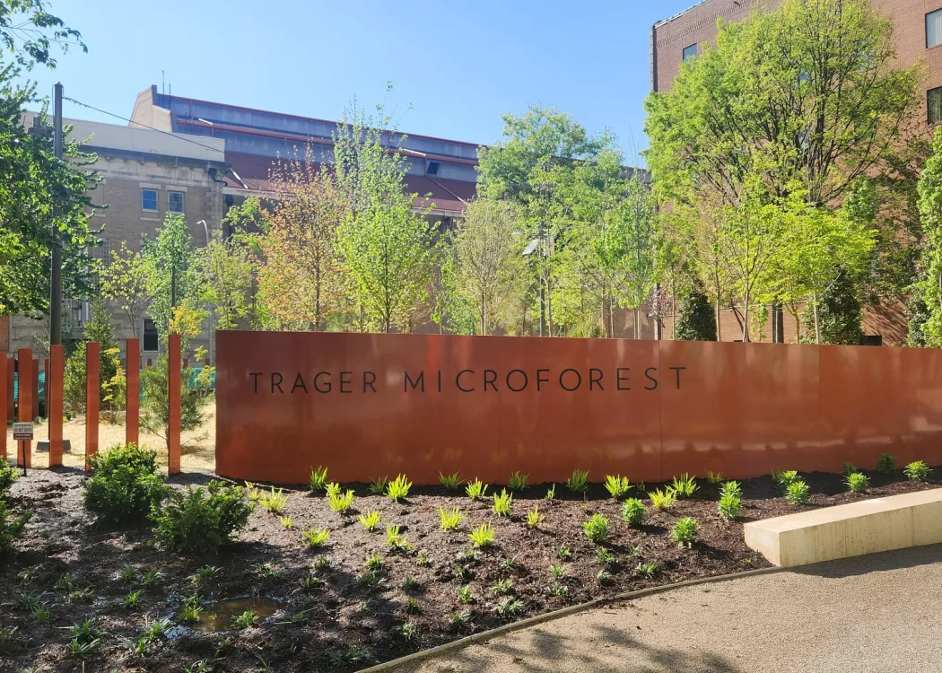 Urban park with newly planted trees and a sign in front