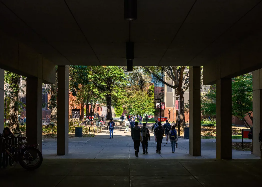 Students walking through campus