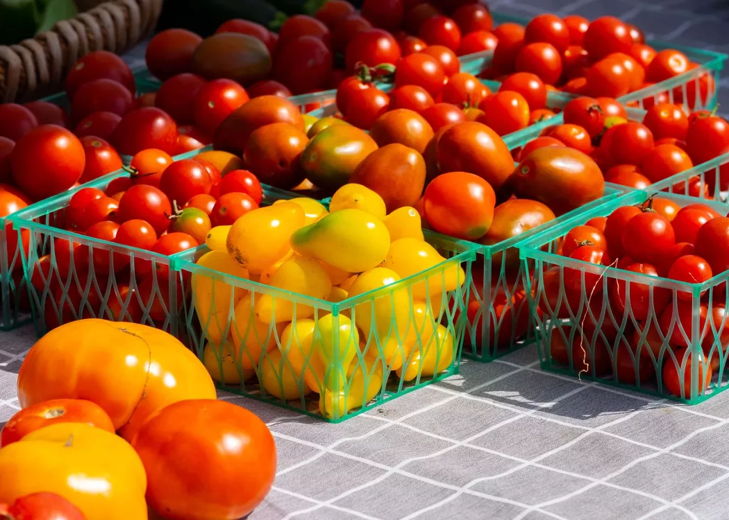 Cartons of tomatoes on a table
