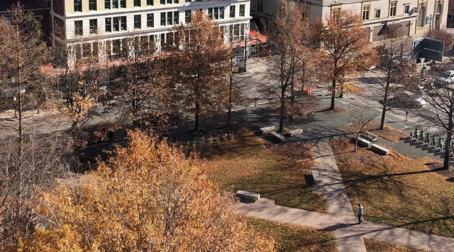 Overhead view of small park with sidewalks and trees. Office buildings are visible across the street.