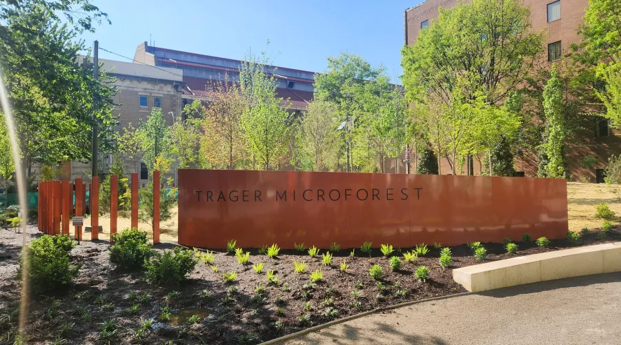Urban park with newly planted trees and a sign in front