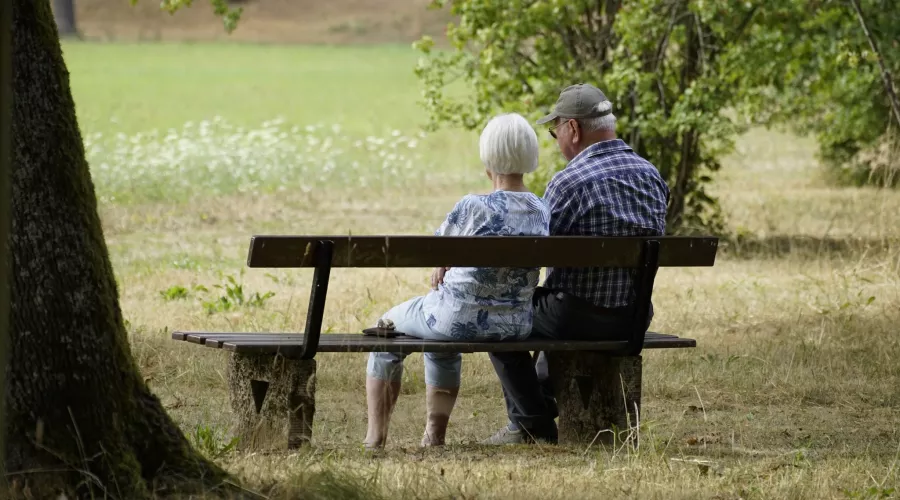 Two older adults sitting on a park bench amid trees and grass