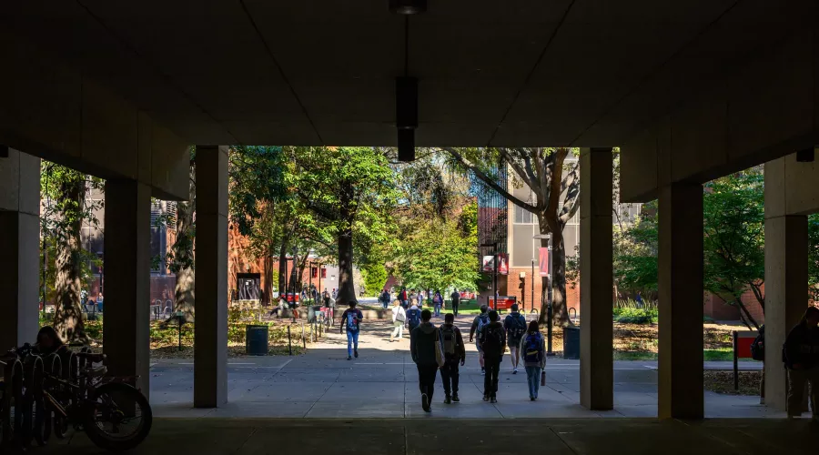 Students walking through campus