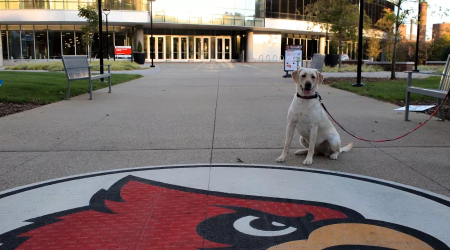 Dog sits next to the Cardinal outside of BAB