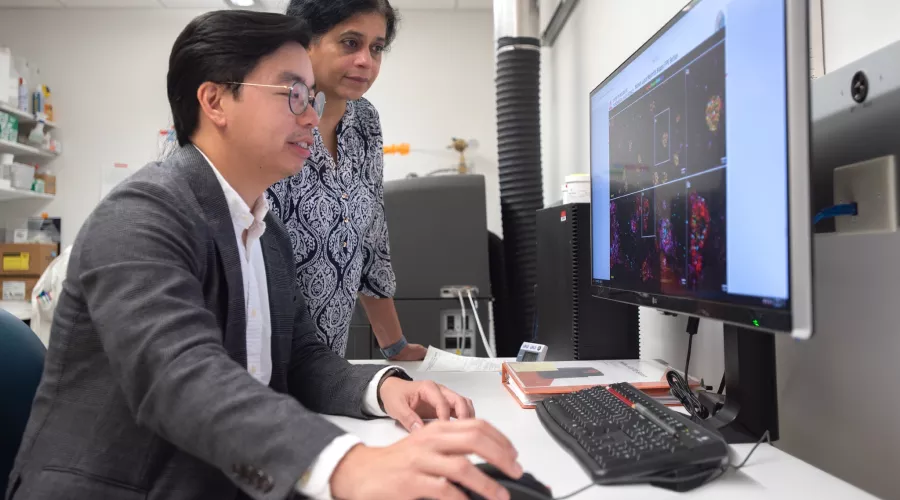 Man and woman at computer workstation